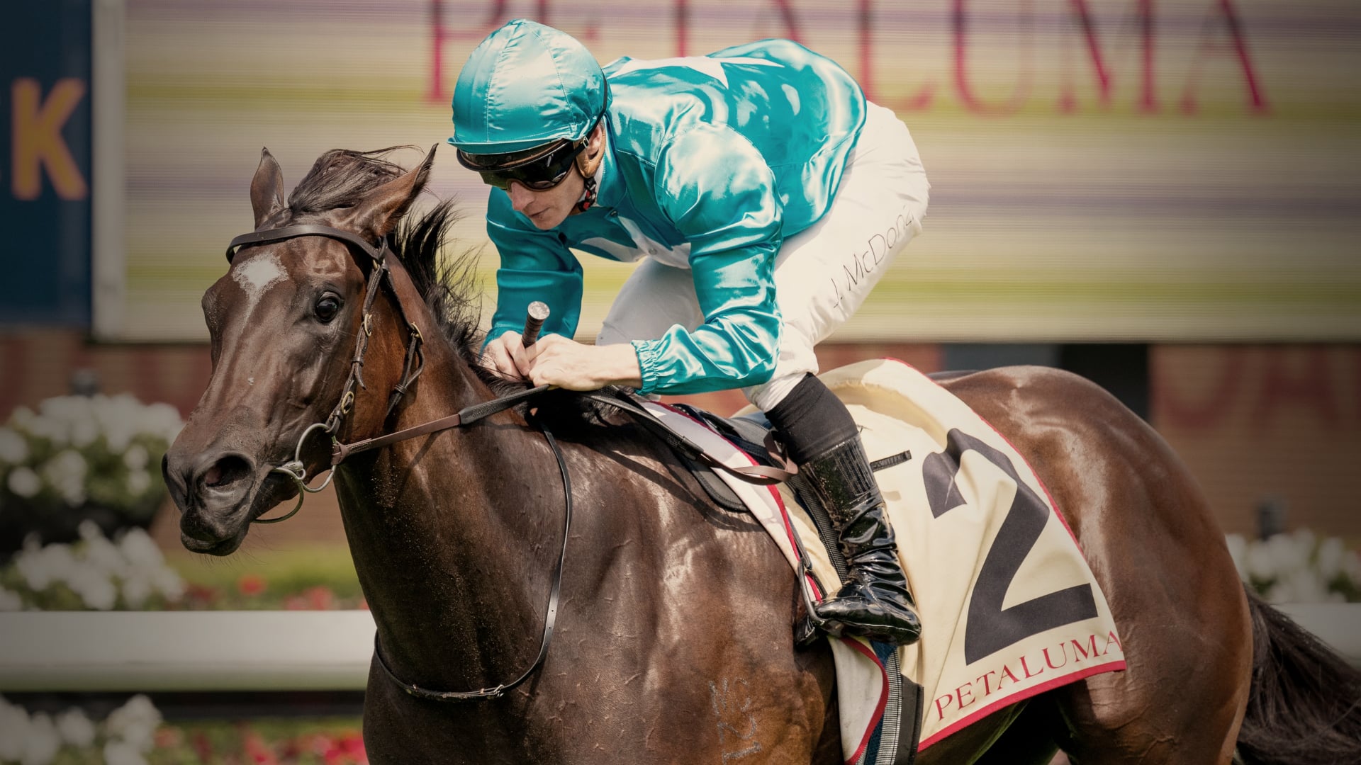 Inglis TV - Chayan - 2026 Inglis Chairman's Sale on Vimeo