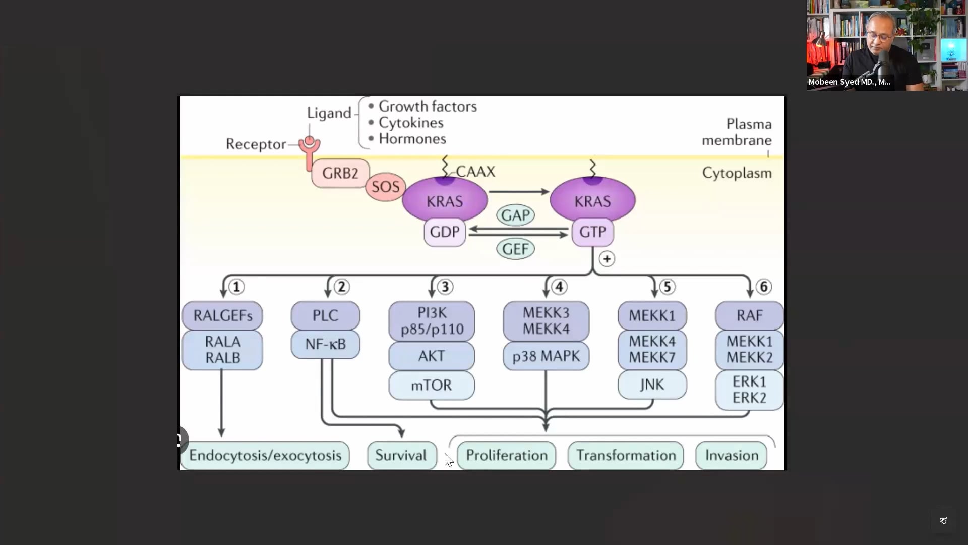 Pancreatic Cancer Finally Cured in Mice | Groundbreaking Spanish Study