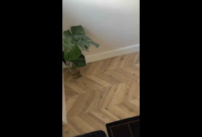 Welcome to… Main Photo