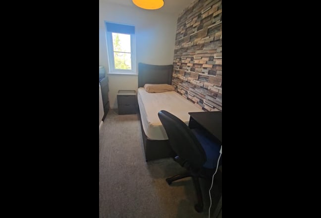 Single Room in a very Clean House Main Photo