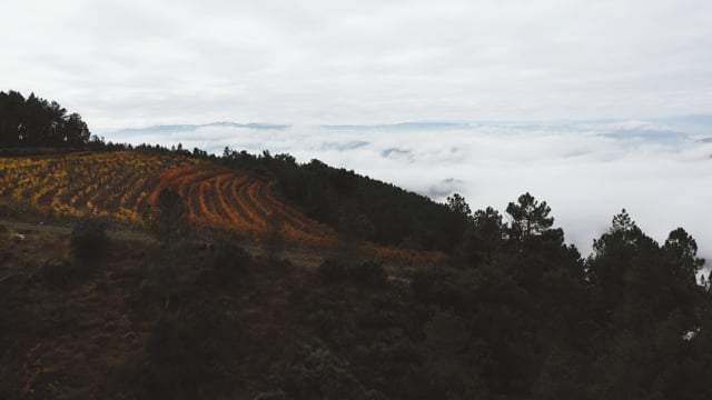 Douro Patrim&oacute;nio Mundial