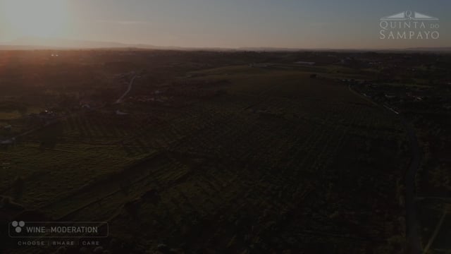Quinta do Sampayo