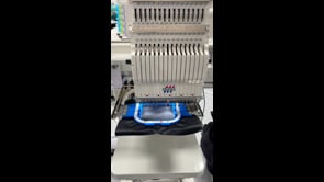 Z Logo Lion Protects Sample