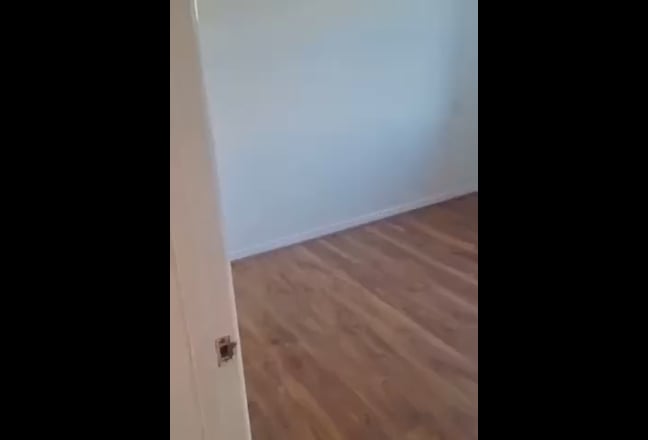 1 single stunning room available in 2 bed flat Main Photo