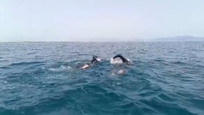 El Club Natació l'Escala - Empúries nedarà contra el càncer de mama el 2 de maig