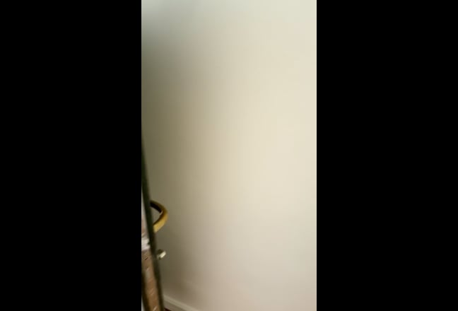 🏡 Angel N1 · Brand New · Bills Included · Move In Main Photo