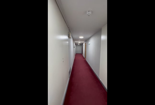 2B1B Fitsrovia,Ucl,Lbs,Lse,Buddy Up/Whole Flat Main Photo