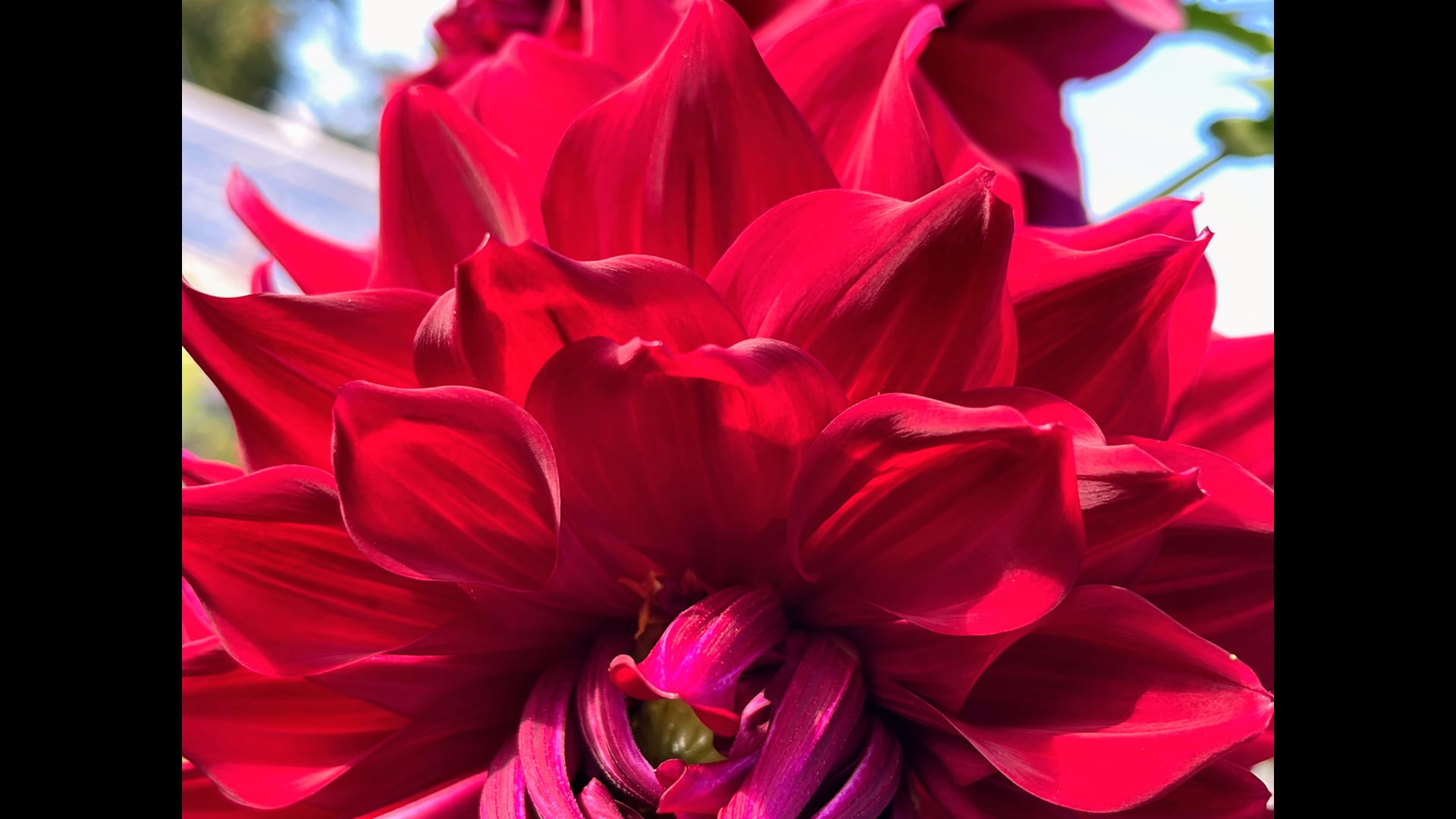 2026 March 16:  The 2nd Remembrance - How do we respond to this truth?