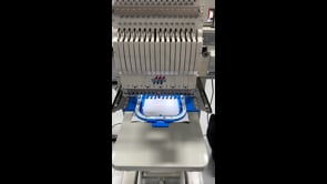 Z Logo Lion Protects Sample