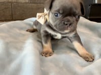 My personality & characteristics