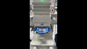 Z Logo Lion Protects Sample