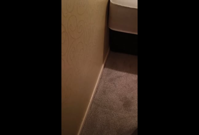 Students girls or  women preferred Main Photo