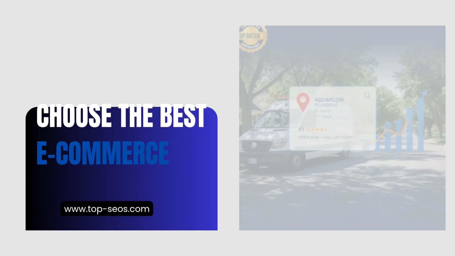 Choose the Best E-commerce SEO Company - www.top-seos.com