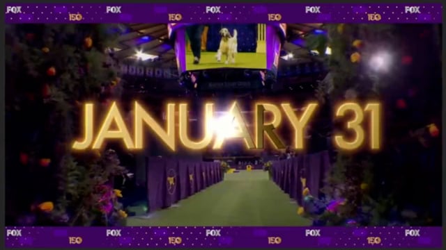 WKC Dogshow video thumbnail