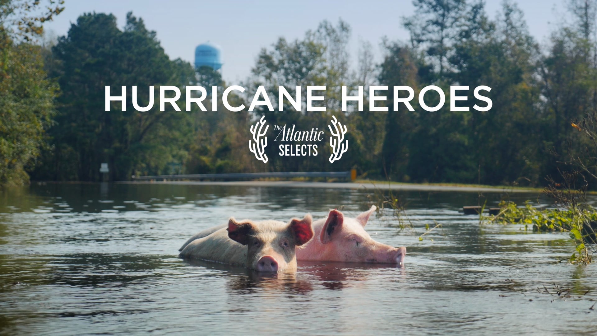 Hurricane Heroes
