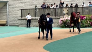 動画サムネイル