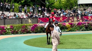 動画サムネイル