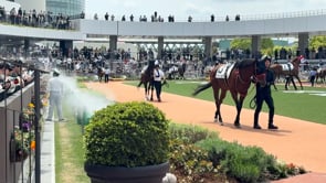 動画サムネイル