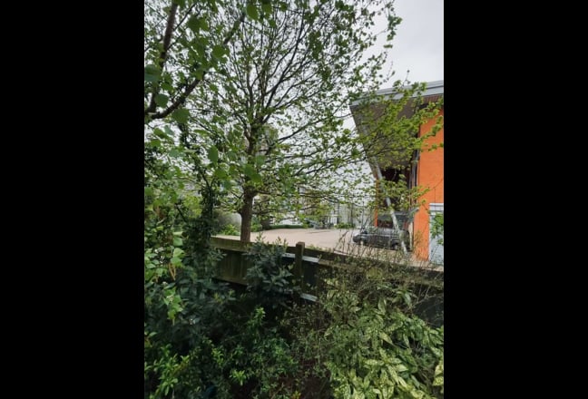 Spacious En-Suite Room in Friendly Shared House Main Photo