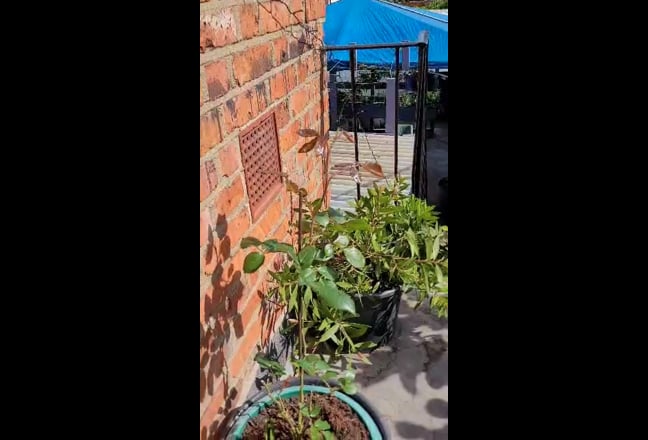 Rent double bedroom flat Main Photo