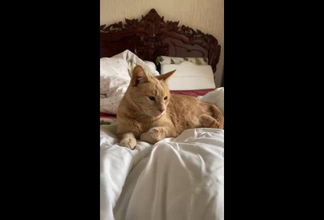 Fully furnished Double bedroom Main Photo