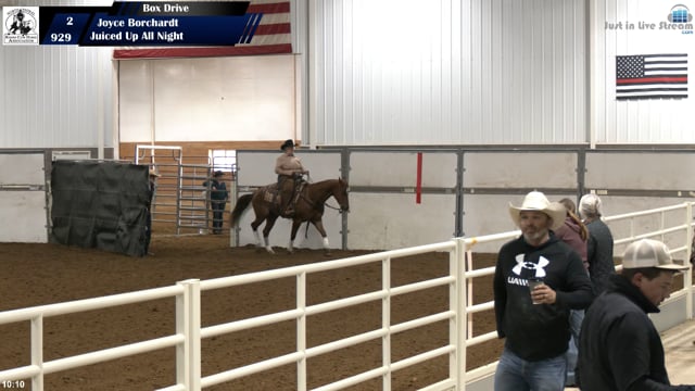 #929 Joyce Borchardt