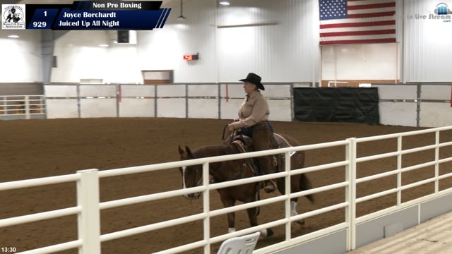 #929 Joyce Borchardt (2)