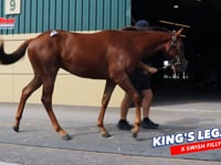 Kings Legacy x Swish FILLY