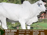 Lote F69