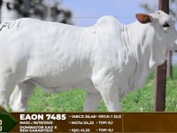 Lote F01