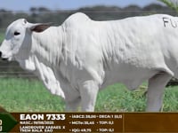 Lote F02