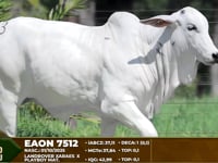 Lote F03