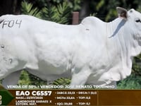 Lote F04