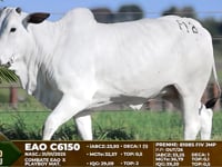 Lote F12