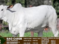 Lote F22