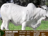 Lote F23