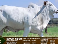 Lote F34