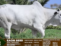 Lote F81