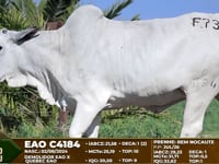 Lote F73