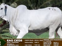 Lote F72