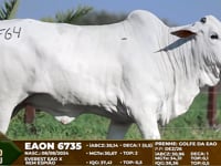 Lote F64