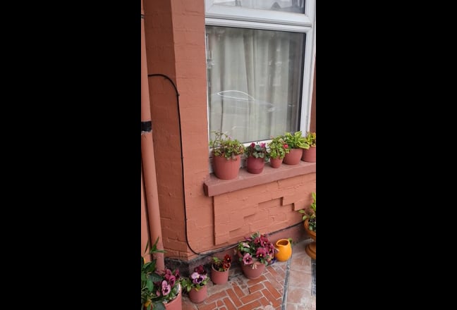 Pleasant double room in an Edwardian townhouse Main Photo