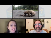 Vimeo channel thumbnail
