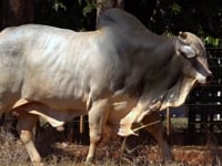 Lote 289