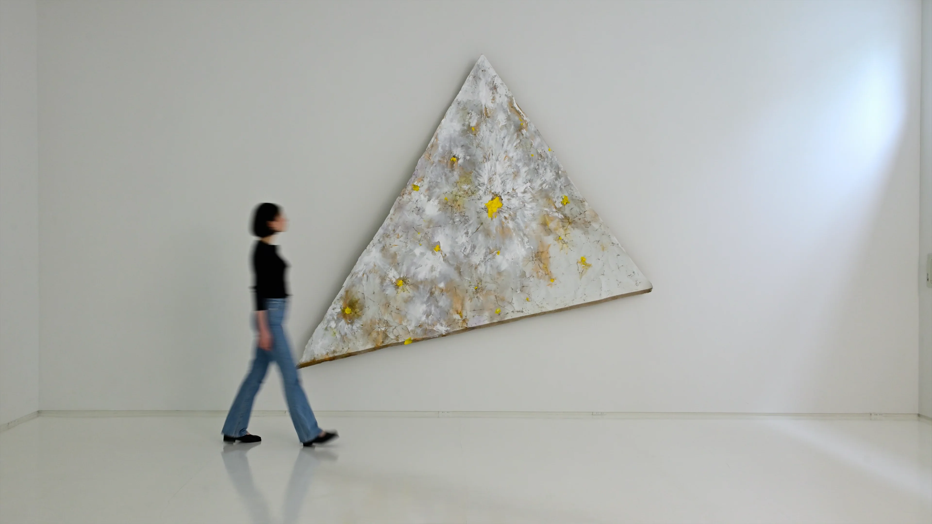 荒野の星 『この星の絵の具』下巻刊行記念｜Exhibitions｜ShugoArts