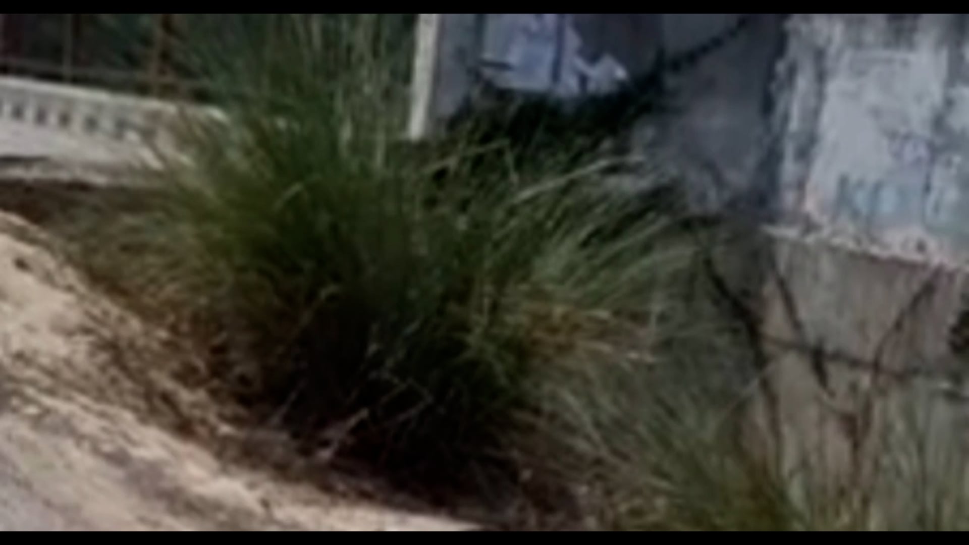 मंगलपुरा-डुहिमुसी दहारी पर बने पुल का अप्रोच मार्ग जर्जर होने से क्षेत्रीय लोगो ने प्रशासन का ध्यान कराया आकृष्ट