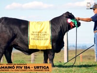 Lote 03