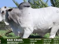 Lote 02
