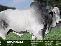 Lote 27