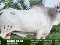 Lote 50
